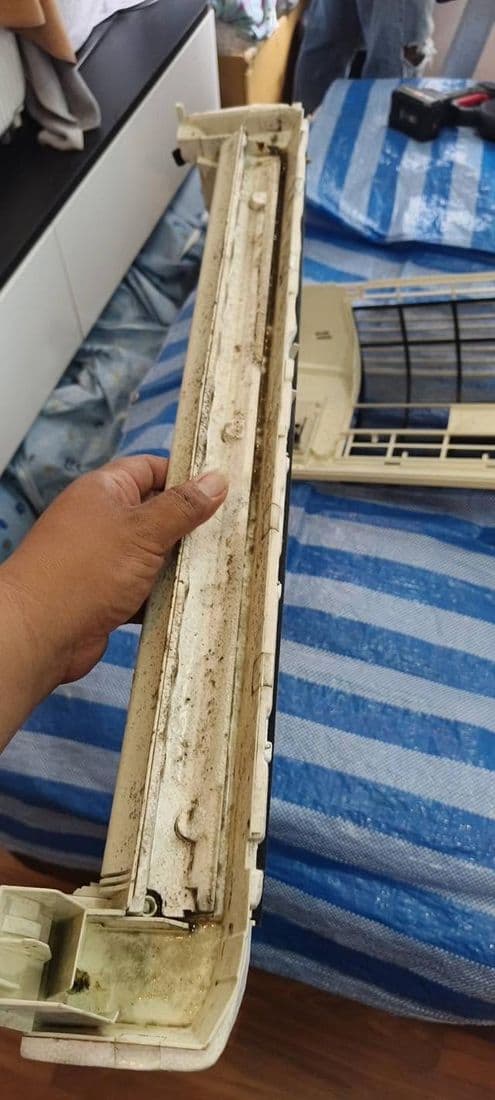 ชิ้นส่วนสีครีมที่มีคราบสกปรกเกาะทั่ว ถือขึ้นเหนือผ้าปูลายทางก่อนล้าง