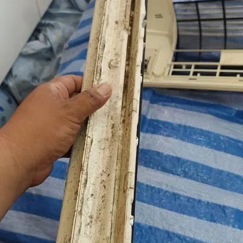 ชิ้นส่วนสีครีมที่มีคราบสกปรกเกาะทั่ว ถือขึ้นเหนือผ้าปูลายทางก่อนล้าง
